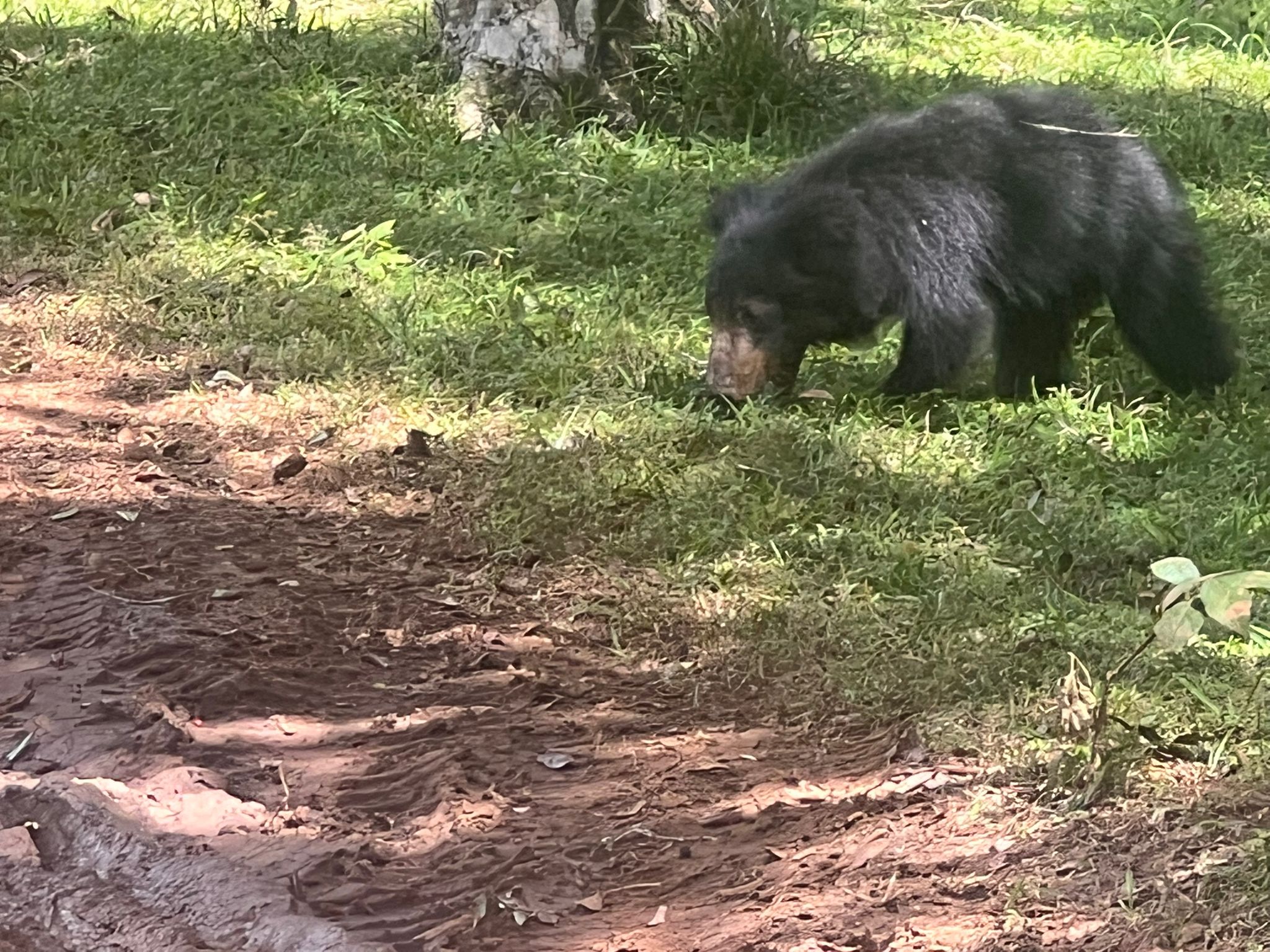 Wild safari expedition in Yala - 27