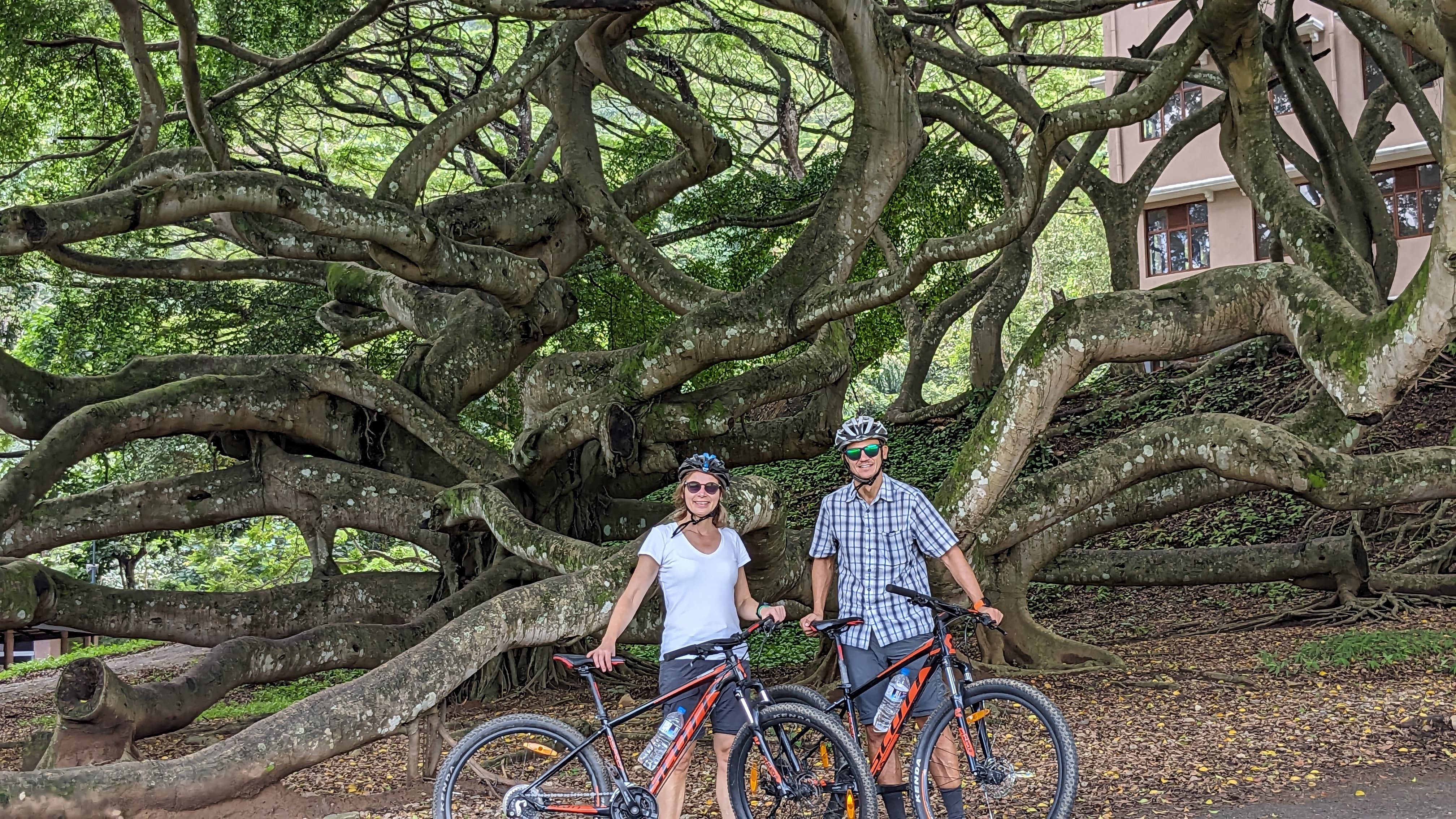 Cycling & Biking