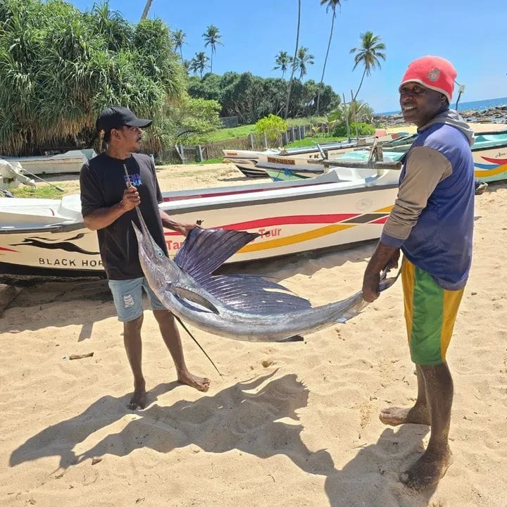 Fishing excursion in Sri Lanka - f6