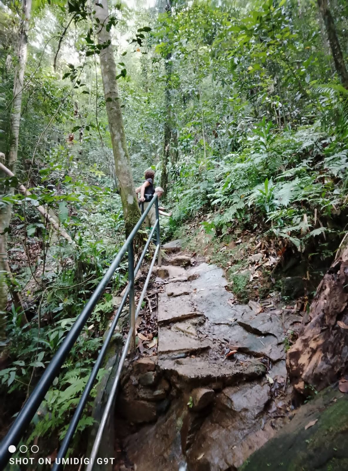 Nature and trekking trail in Sri Lanka - n4