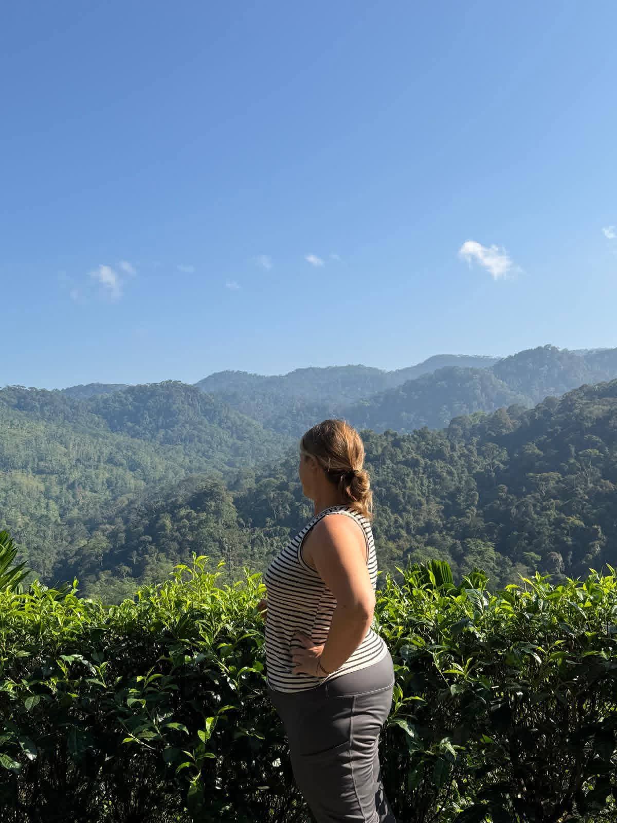 Nature and trekking trail in Sri Lanka - n5
