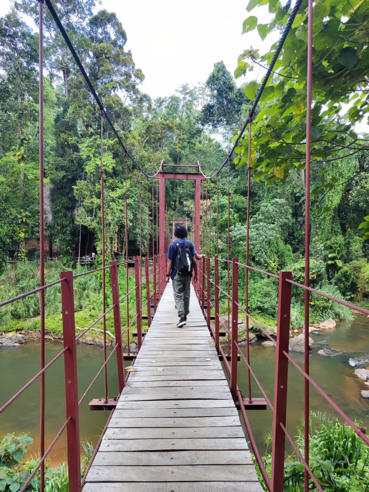 Sinharaja rainforest trek - sinha7